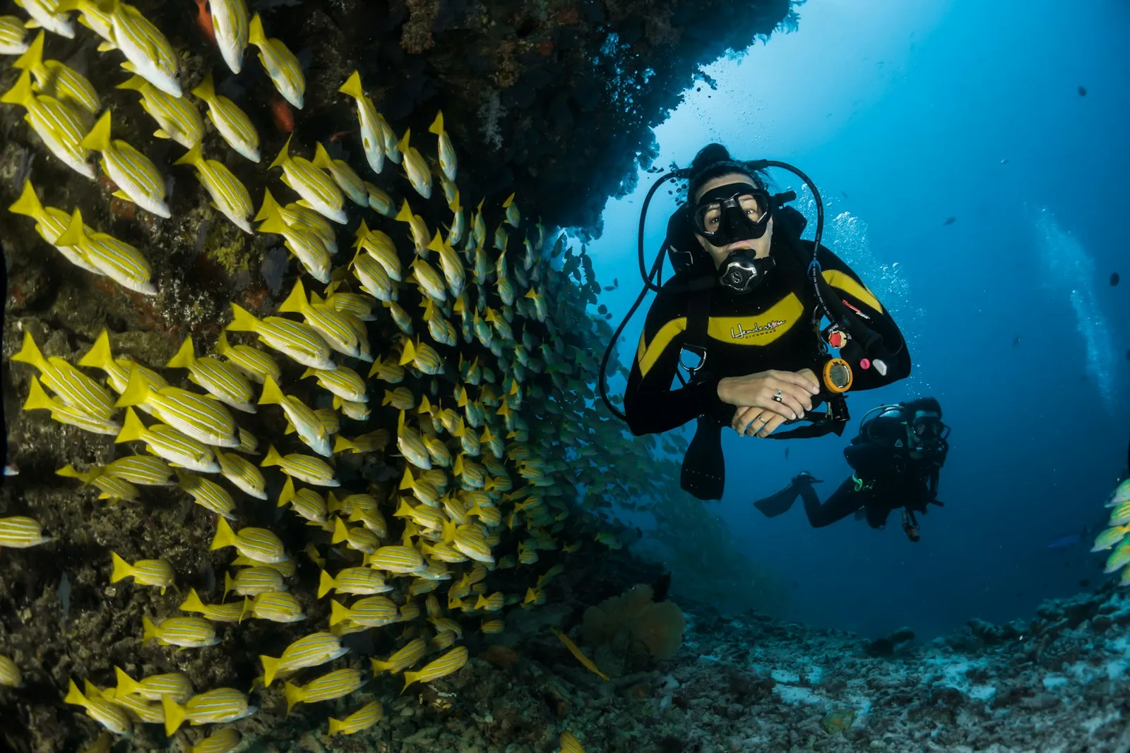 Diving expedition